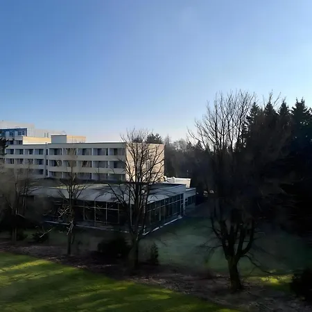 Deluxe Goslar